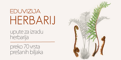 Interaktivni herbarij