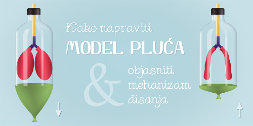 Kako napraviti model pluća