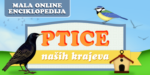 Online enciklopedija ptica