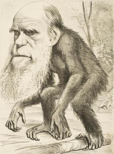 Izložba i radionice "Darwin danas"