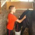 IMG_0061_800x600