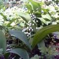 PICT0083
