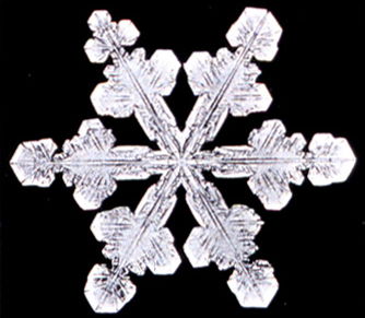 Snowflake11