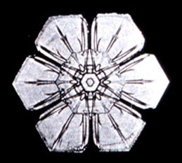 Snowflake12