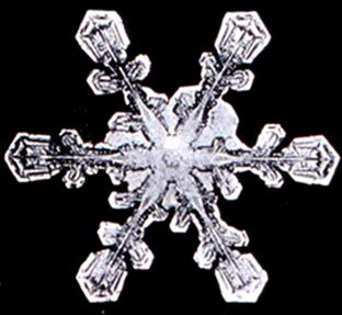 Snowflake6