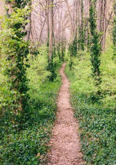 Spring_Park_3