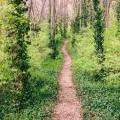 Spring_Park_3