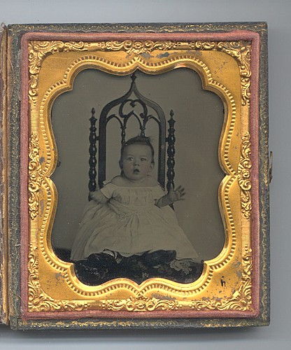 ambroinfant