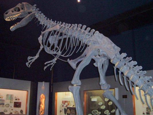 Spektakl u Areni, "Šetnja s dinosaurima"