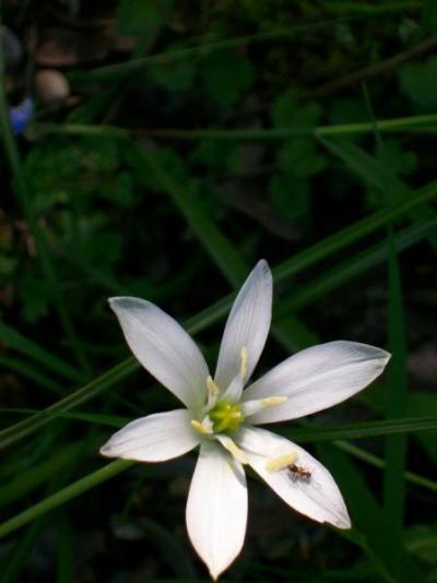 fedegrafo_102_5281