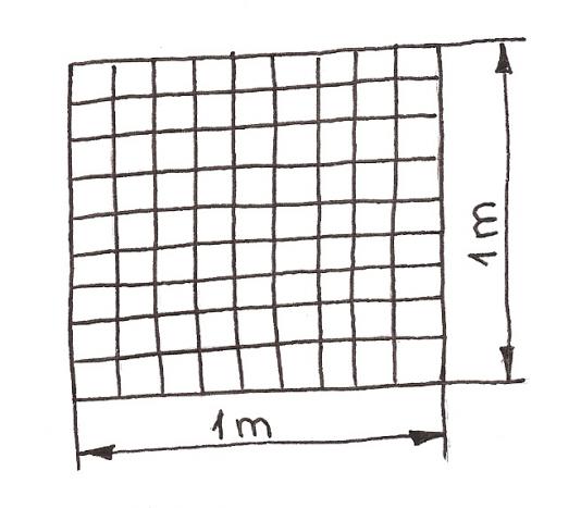 image007