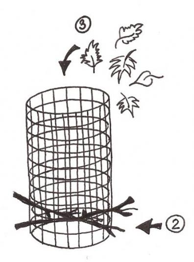 image009