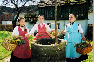 Kićenje bunara na Cvjetnicu (Gundinci, Slavonija) (Iz fototeke Posudionice i radionice narodnih nošnji)