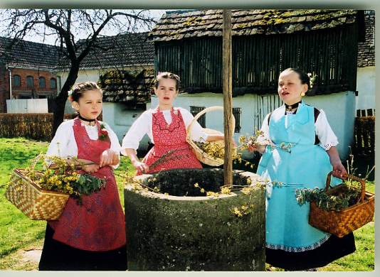 Kićenje bunara na Cvjetnicu (Gundinci, Slavonija) (Iz fototeke Posudionice i radionice narodnih nošnji)