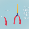model pluca - korak 3