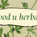 uvoduherbarij.png